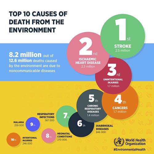 enh_top10causesdeath